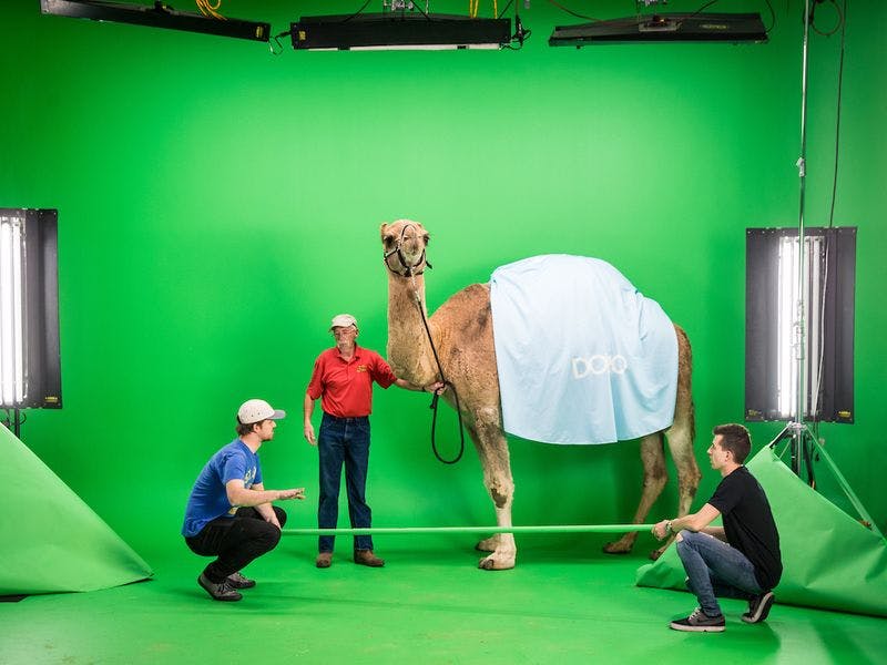 Commercial film production behind the scenes 20191120 camel 0062